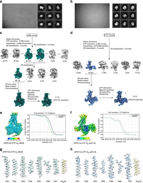 Cryo Em Data Processing And Overall Resolution Analysis Of Electron