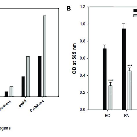 A Antibacterial Activity Of TiO 2 NPs Bar Represents MIC And MBC