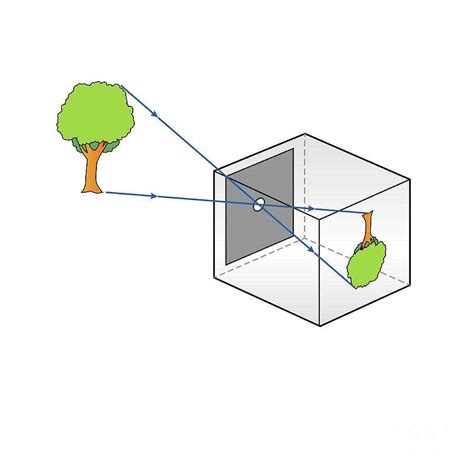 A Simple Yet Effective Pinhole Camera Design