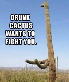 7 Cactus Memes we like ideas | cactus, memes, bones funny