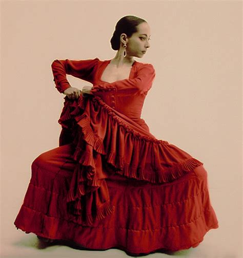 Flamenco traditional dance | Plugon