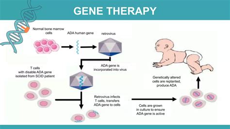 Adenosine Deaminase Deficiency Ppt