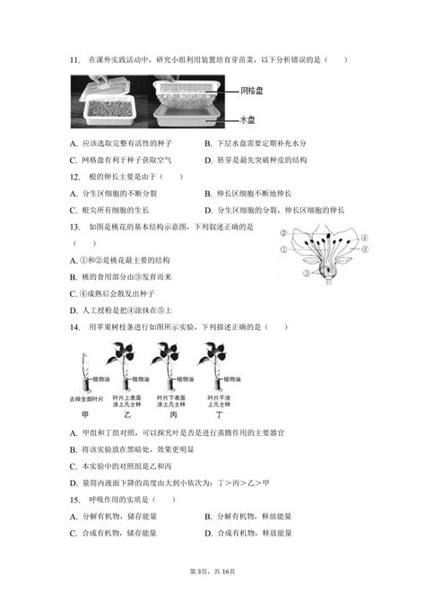 2022 2023学年湖北省十堰市丹江口市七年级（上）期末生物试卷（含解析） 21世纪教育网