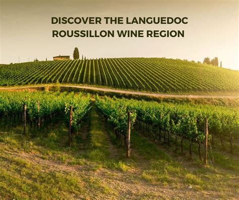 Introduction To Languedoc Roussillon Wine Region Walaclub It S