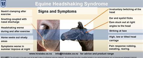 Head shaking Syndrome @ Hira Laboratories