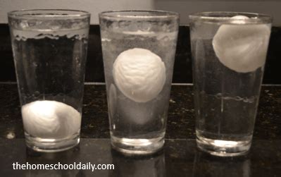 Floating Egg Experiment - The Homeschool Daily