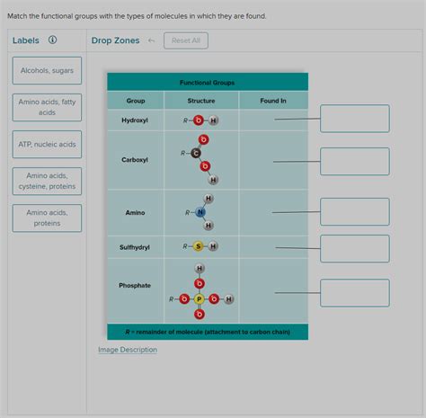 Solved Identify Functional Groupsmatch The Functional Gro