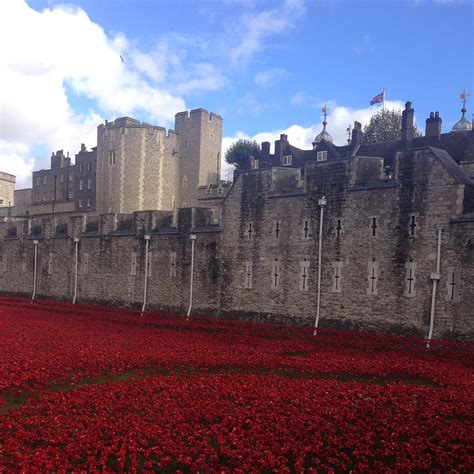 The Tower of London and Remembrance Poppies - Two Traveling Texans