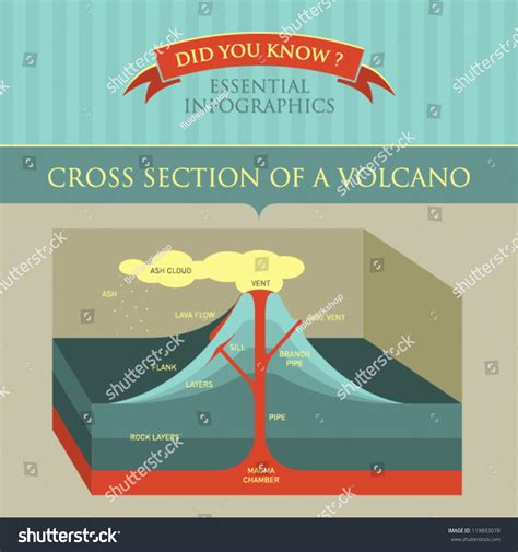 Vector Infographic Cross Section Volcano Stock Vector 119893078