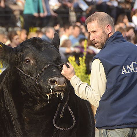 Centro de exposiciones Angus Mercado de Cañuelas