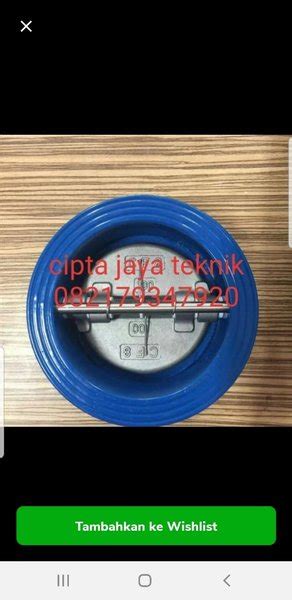 Jual Wafer Check Valve Inch Double Door Inch Pn Cast Iron Di