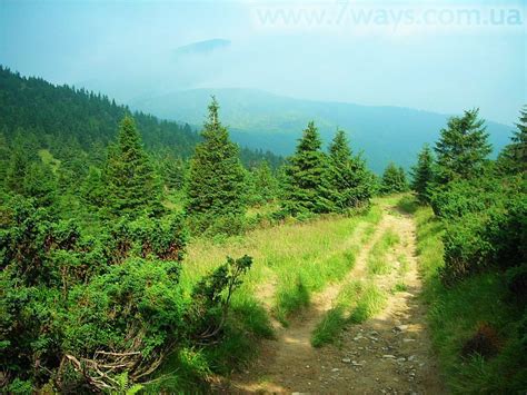 The Carpathian mountains - Ukraine Photo (20937574) - Fanpop