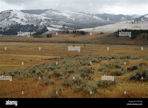 The Lamar Valley Stock Photo - Alamy