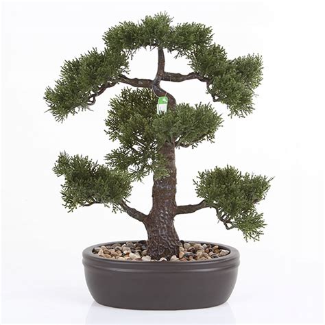 Efektowne Sztuczne Drzewko Bonsai Cedr Cm Iglak Cena