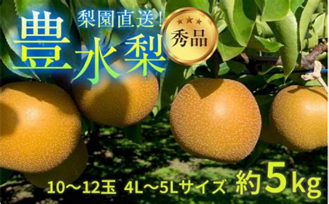 【先行予約】上野梨園の豊水梨 10～12玉入 約5kg 4l～5l【秀品】《数量限定》梨園直送！ 期間限定 果物 フルーツ 農家直送