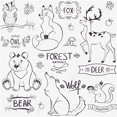 Cute Forest Animals Drawing