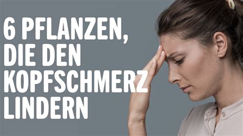 6 PFLANZEN DEN KOPFSCHMERZ LINDERN Vorteile von Tipps für ein