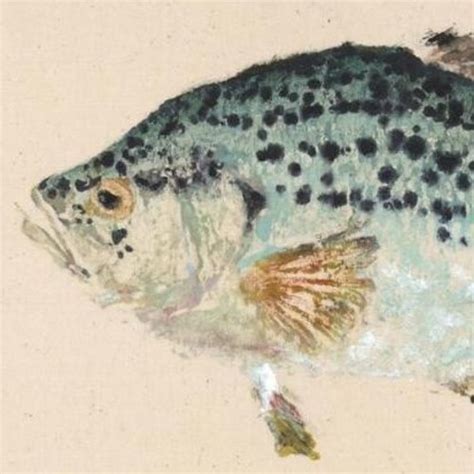 Brook Trout Gyotaku Fish Rubbing Limited Edition Print Etsy