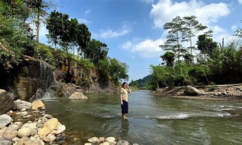 Sentul Eco Edu Tourism Forest Hutan Wisata Sentul