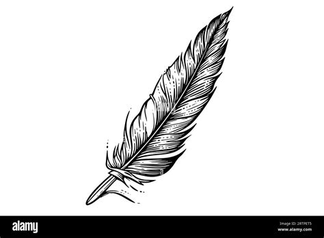 A Vintage Feather Quill Etching Style Sketch Vector Engraving Style