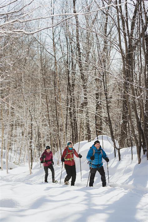 8 Sports Dhiver à Pratiquer à Saint Donat