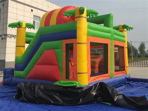 China Customized Lion Bouncy Castle Manufacturers Suppliers Factory