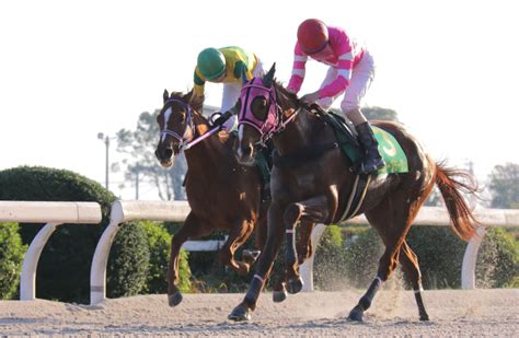 【笠松】笹野 博司 調教師 地方競馬通算600勝達成のお知らせお知らせandニュース楽天競馬