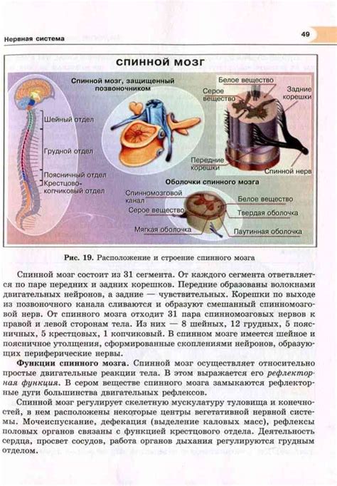Учебник по биологии 8 класс Рохлов Трофимов читать онлайн