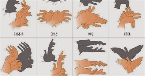 How to make hand shadow art