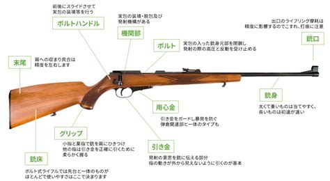 鉄砲・火薬ガイド｜散弾銃、ライフル銃、空気銃の新品・中古販売｜石狩銃砲火薬店