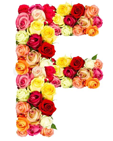 F Roses Flower Alphabet Isolated On White Stock Image Colourbox