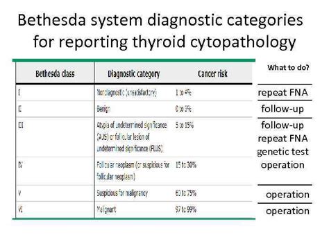 Dr Nodelman Marina Thyroid Cancers 1