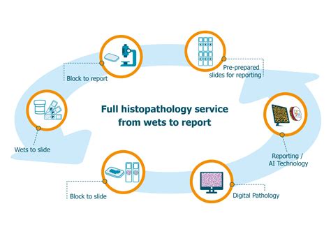 Histopathology Laboratory Services Source Bioscience