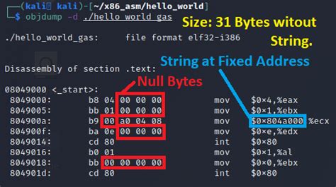 Linux X86 Assembly How To Make Our Hello World Usable As An Exploit