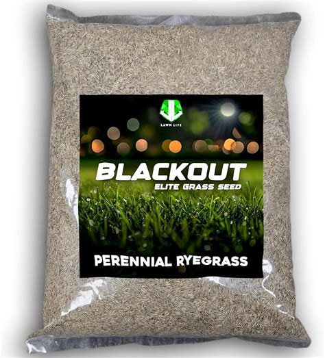 Blackout Perennial Ryegrass Grass Seed Fireball And Hatrick 25 Lbs Patio