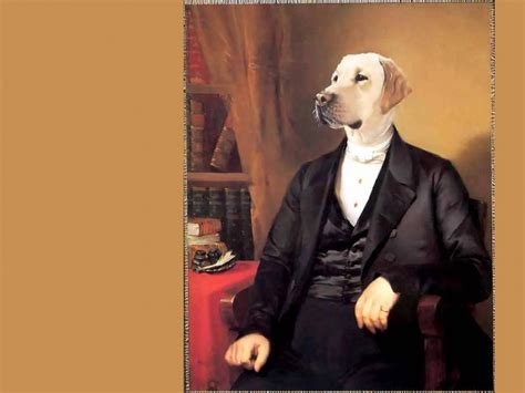 Dog Portraits Sir Rufus Wilbraham — Thierry Poncelet