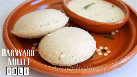 Barnyard millet idli recipe, Millet idli, Kuthiraivali idli recipe ...