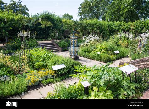 Plantes M Dicinales Queen S Garden Kew Palace Kew Royal Botanic