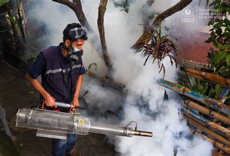 Las Permanentes Campa As De Fumigaci N Del Gobierno Mantienen Bajo