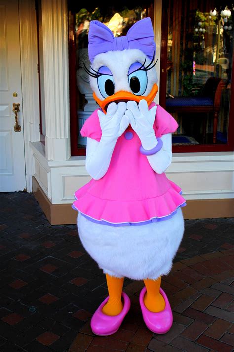 Meeting Daisy Duck | Daisy duck, Duck birthday, Daisy duck costume