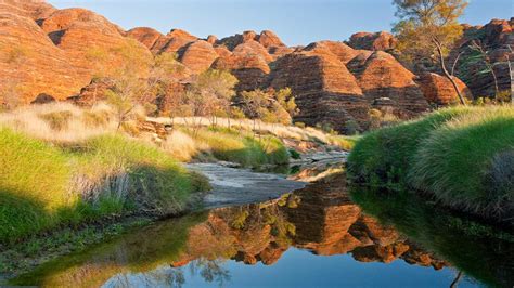 4 Things To See In The Bungle Bungles Intrepid Travel Blog The Journal