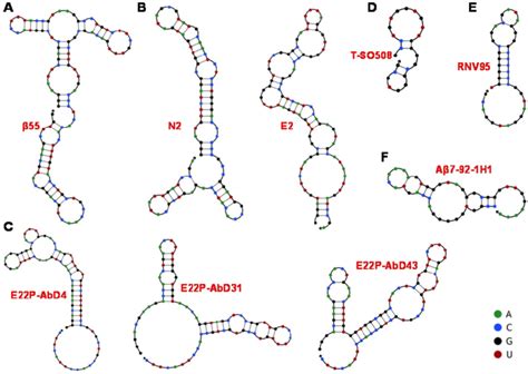 Predicted Secondary Structure Of Obtained Aptamers By Unpack Analysis