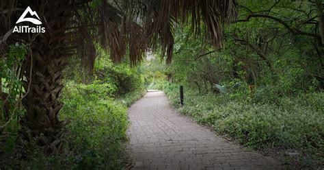 Best hikes and trails in Estero Llano Grande State Park | AllTrails