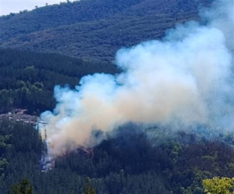 La Araucan A Balance Actual De Incendios Seg N Informe De Conaf