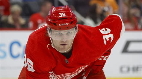 Veteran Red Wings Forward Day To Day With Upper Body Injury Yardbarker