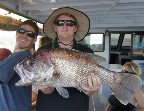 Kalbarri Deep Sea Fishing Charter Reefwalker Ocean Discovery Kalbarri