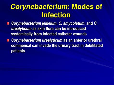 Corynebacterium amycolatum в посеве что это - фото