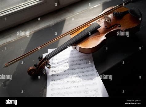 violin, violin family, violins, violin families Stock Photo - Alamy