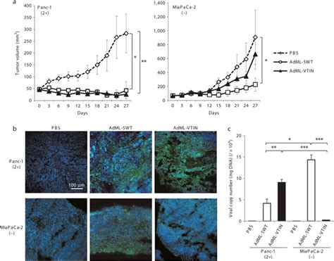 In Vivo Antitumor Effect And Viral Replication Of The Download