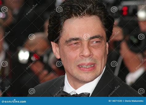 Benicio Del Toro editorial image. Image of smile, movie - 14071535